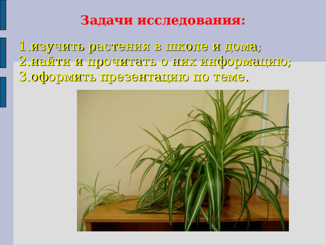 Задачи исследования: 1.изучить растения в школе и дома; 2.найти и прочитать о них информацию; 3.оформить презентацию по теме. 