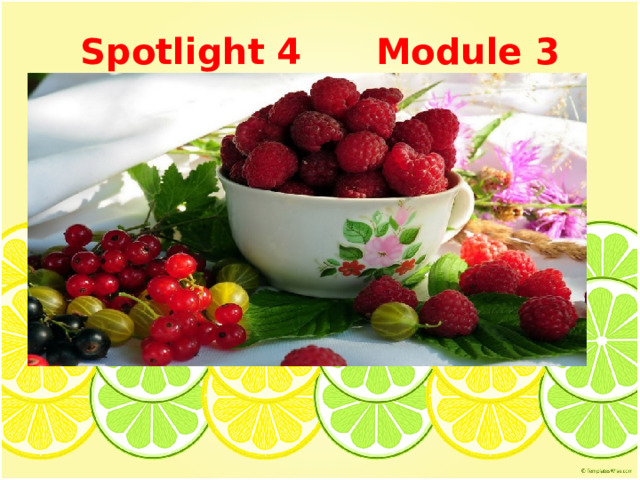 Spotlight 4 Module 3   