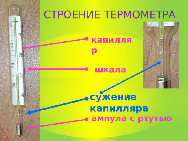 СТРОЕНИЕ ТЕРМОМЕТРА капилляр шкала сужение капилляра ампула с ртутью 