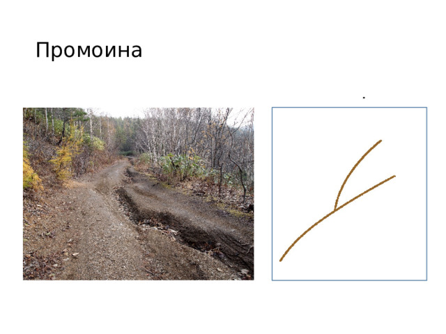 Промоина 