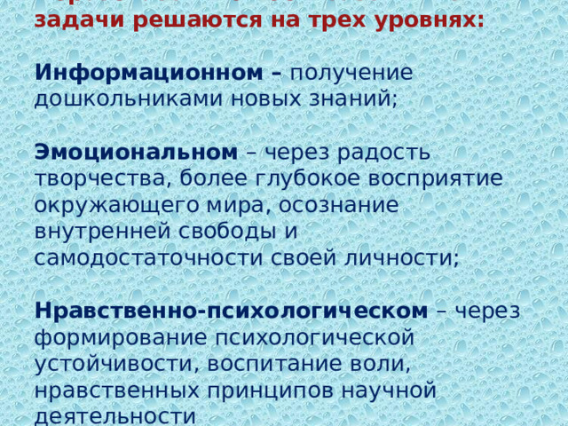  Образовательно-воспитательные задачи решаются на трех уровнях:   Информационном – получение дошкольниками новых знаний;   Эмоциональном – через радость творчества, более глубокое восприятие окружающего мира, осознание внутренней свободы и самодостаточности своей личности;   Нравственно-психологическом – через формирование психологической устойчивости, воспитание воли, нравственных принципов научной деятельности      