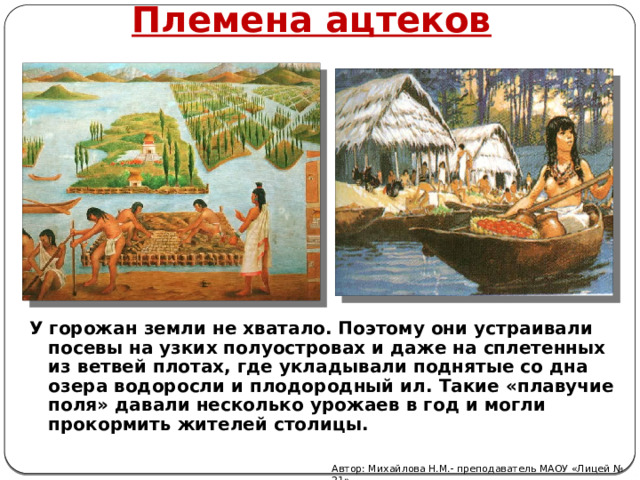 Племена ацтеков У горожан земли не хватало. Поэтому они устраивали посевы на узких полуостровах и даже на сплетенных из ветвей плотах, где укладывали поднятые со дна озера водоросли и плодородный ил. Такие «плавучие поля» давали несколько урожаев в год и могли прокормить жителей столицы.  Автор: Михайлова Н.М.- преподаватель МАОУ «Лицей № 21» 