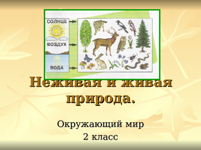 Неживая и живая природа.   Окружающий мир 2 класс 