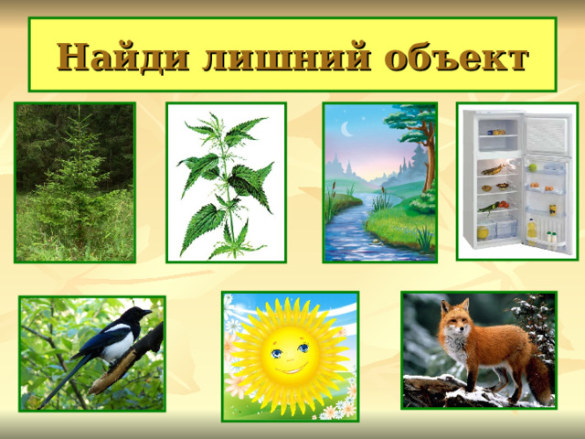 Найди лишний объект 