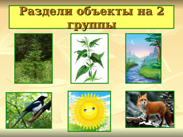 Раздели объекты на 2 группы 