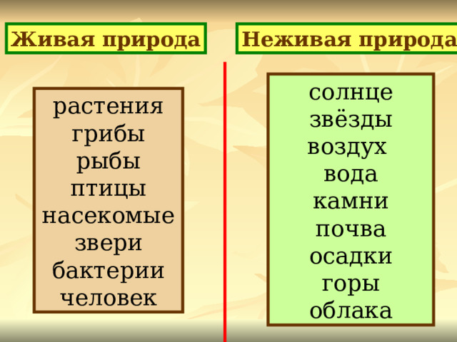 Живая природа Неживая природа солнце звёзды воздух вода камни почва осадки горы облака растения грибы рыбы птицы насекомые звери бактерии человек 