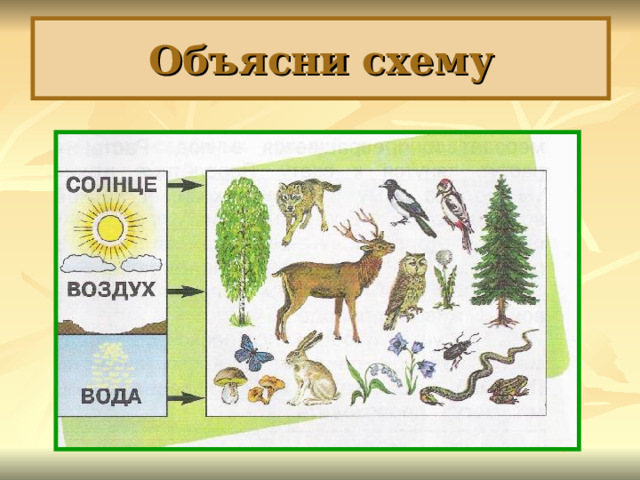 Объясни схему 