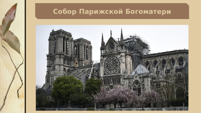Собор Парижской Богоматери 