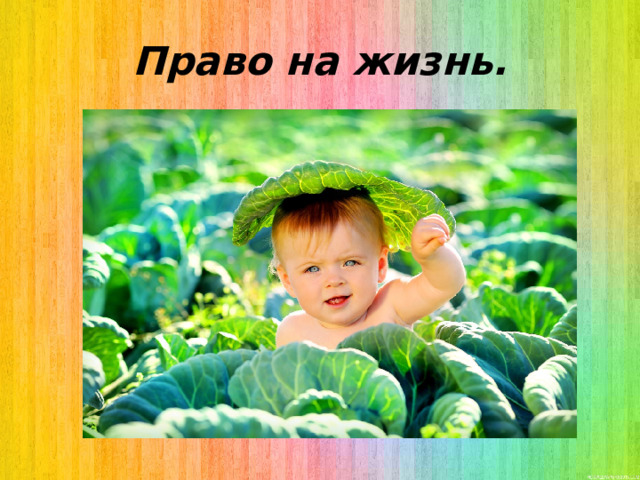Право на жизнь. 