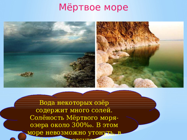 Мёртвое море Вода некоторых озёр содержит много солей. Солёность Мёртвого моря-озера около 300 ‰. В этом море невозможно утонуть, в нём почти отсутствуют организмы. 