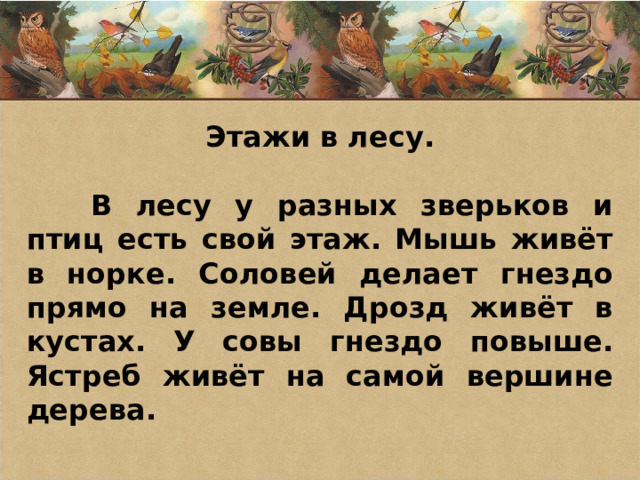 Этажи в лесу.   В лесу у разных зверьков и птиц есть свой этаж. Мышь живёт в норке. Соловей делает гнездо прямо на земле. Дрозд живёт в кустах. У совы гнездо повыше. Ястреб живёт на самой вершине дерева.  