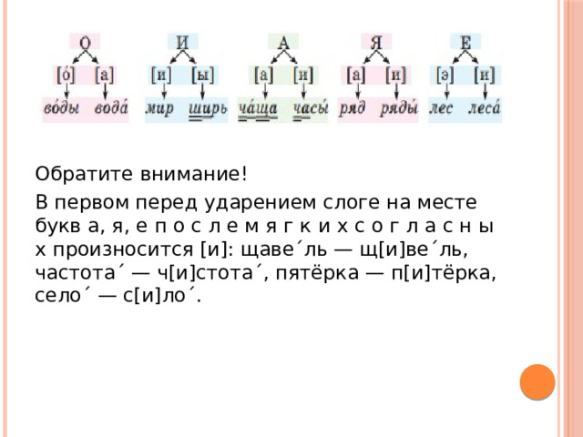 Обратите внимание! В первом перед ударением слоге на месте букв а, я, е п о с л е м я г к и х с о г л а с н ы х произносится [и]: щаве´ль — щ[и]ве´ль, частота´ — ч[и]стота´, пятёрка — п[и]тёрка, село´ — с[и]ло´. 