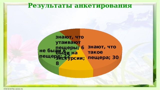 Результаты анкетирования 