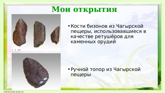 Мои открытия Кости бизонов из Чагырской пещеры, использовавшиеся в качестве ретушёров для каменных орудий Ручной топор из Чагырской пещеры 