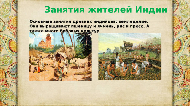Занятия жителей Индии Основные занятия древних индийцев: земледелие. Они выращивают пшеницу и ячмень, рис и просо. А также много бобовых культур 