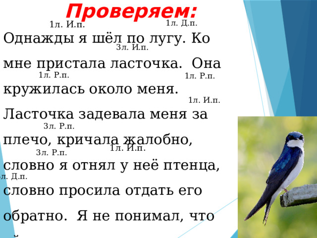 Проверяем: 1л. Д.п. 1л. И.п. Однажды я шёл по лугу. Ко мне пристала ласточка. Она кружилась около меня. Ласточка задевала меня за плечо, кричала жалобно, словно я отнял у неё птенца, словно просила отдать его обратно. Я не понимал, что ей нужно. 3л. И.п. 1л. Р.п. 1л. Р.п. 1л. И.п. 3л. Р.п. 1л. И.п. 3л. Р.п. 3л. Д.п. 