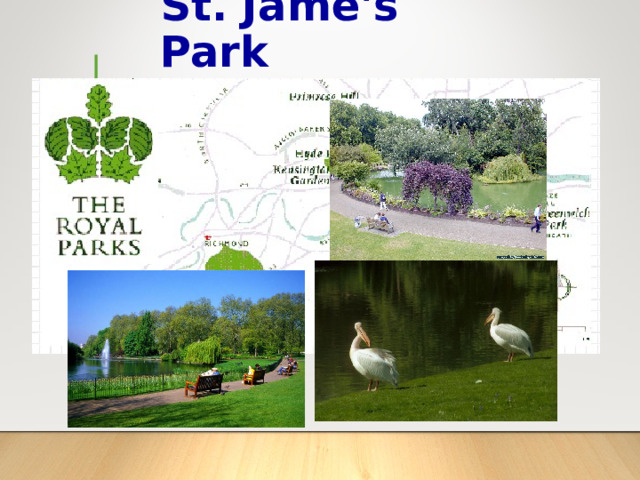 St. Jame's Park  ------------- 