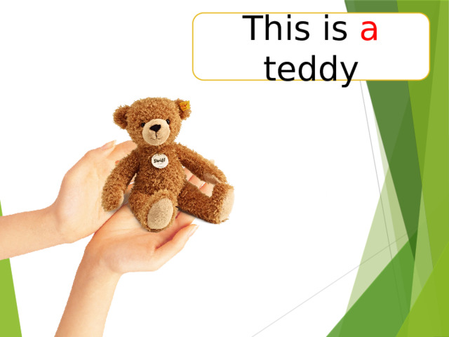 This is a teddy 