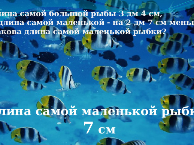 Длина самой большой рыбы 3 дм 4 см, А длина самой маленькой - на 2 дм 7 см меньше. Какова длина самой маленькой рыбки? Длина самой маленькой рыбки  7 см 