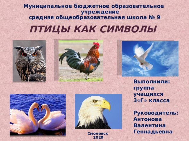 Муниципальное бюджетное образовательное учреждение  средняя общеобразовательная школа № 9 Птицы как символы Выполнили: группа учащихся 3«Г» класса  Руководитель: Антонова Валентина Геннадьевна Смоленск 2020 