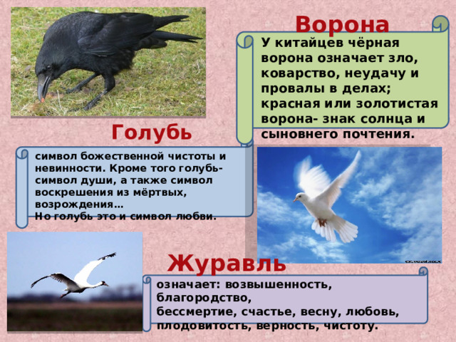 Ворона У китайцев чёрная ворона означает зло, коварство, неудачу и провалы в делах; красная или золотистая ворона- знак солнца и сыновнего почтения. Голубь символ божественной чистоты и невинности. Кроме того голубь- символ души, а также символ воскрешения из мёртвых, возрождения… Но голубь это и символ любви. Журавль означает: возвышенность, благородство, бессмертие, счастье, весну, любовь, плодовитость, верность, чистоту. 