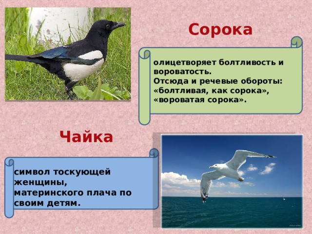 Сорока олицетворяет болтливость и вороватость. Отсюда и речевые обороты: «болтливая, как сорока», «вороватая сорока». Чайка символ тоскующей женщины, материнского плача по своим детям. 