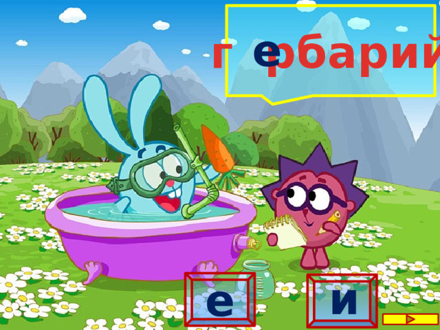  е  г  рбарий и е 