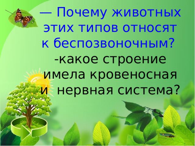 — Почему животных этих типов относят к беспозвоночным?  -какое строение имела кровеносная и нервная система? 