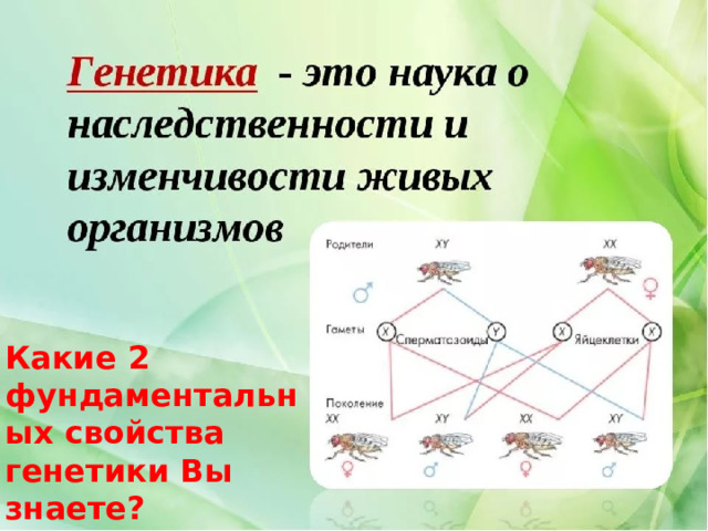 Какие 2 фундаментальных свойства генетики Вы знаете? 