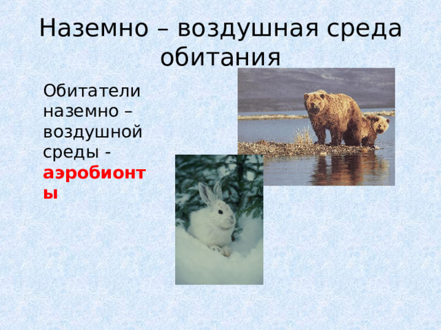 Наземно – воздушная среда обитания  Обитатели наземно – воздушной среды - аэробионты  