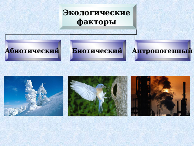 Экологические факторы  Абиотический Биотический  Антропогенный  