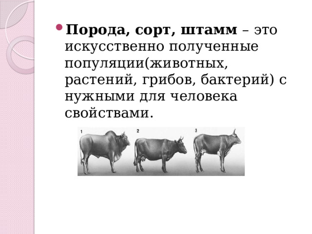 Порода, сорт, штамм – это искусственно полученные популяции(животных, растений, грибов, бактерий) с нужными для человека свойствами. 