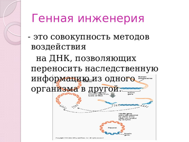 Генная инженерия  - это совокупность методов воздействия  на ДНК, позволяющих переносить наследственную информацию из одного организма в другой. 