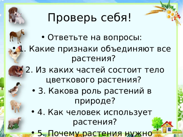 Проверь себя! Ответьте на вопросы: 1. Какие признаки объединяют все растения? 2. Из каких частей состоит тело цветкового растения? 3. Какова роль растений в природе? 4. Как человек использует растения? 5. Почему растения нужно охранять? 