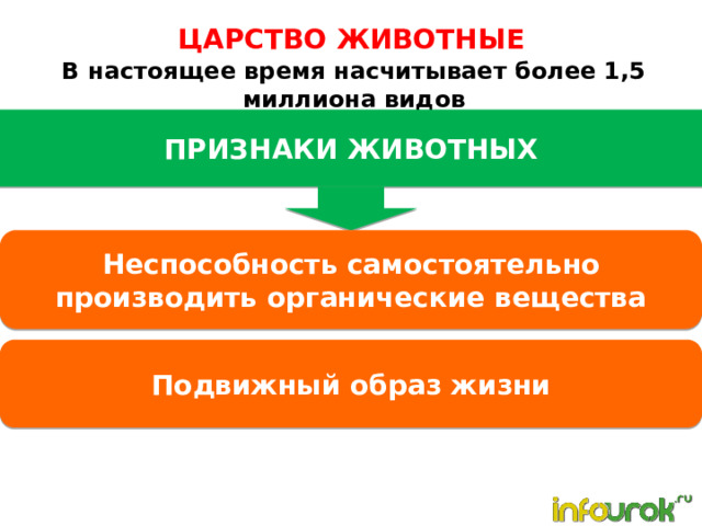 ЦАРСТВО ЖИВОТНЫЕ В настоящее время насчитывает более 1,5 миллиона видов ПРИЗНАКИ ЖИВОТНЫХ Неспособность самостоятельно производить органические вещества Подвижный образ жизни 