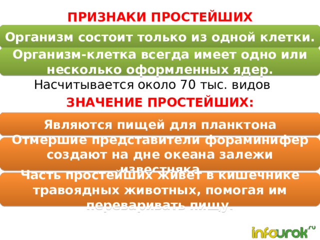 ПРИЗНАКИ ПРОСТЕЙШИХ Организм состоит только из одной клетки. Организм-клетка всегда имеет одно или несколько оформленных ядер. Насчитывается около 70 тыс. видов ЗНАЧЕНИЕ ПРОСТЕЙШИХ: Являются пищей для планктона Отмершие представители фораминифер создают на дне океана залежи известняка Часть простейших живет в кишечнике травоядных животных, помогая им переваривать пищу. 