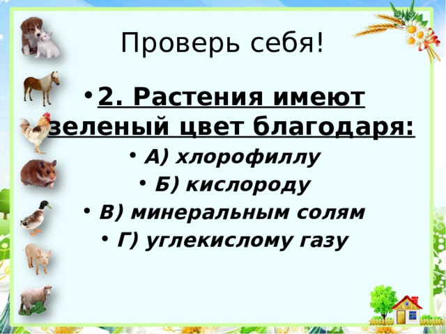 Проверь себя! 2. Растения имеют зеленый цвет благодаря: А) хлорофиллу Б) кислороду В) минеральным солям Г) углекислому газу 