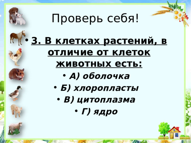 Проверь себя! 3. В клетках растений, в отличие от клеток животных есть: А) оболочка Б) хлоропласты В) цитоплазма Г) ядро 