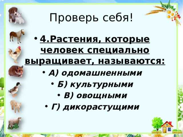 Проверь себя! 4.Растения, которые человек специально выращивает, называются: А) одомашненными Б) культурными В) овощными Г) дикорастущими 
