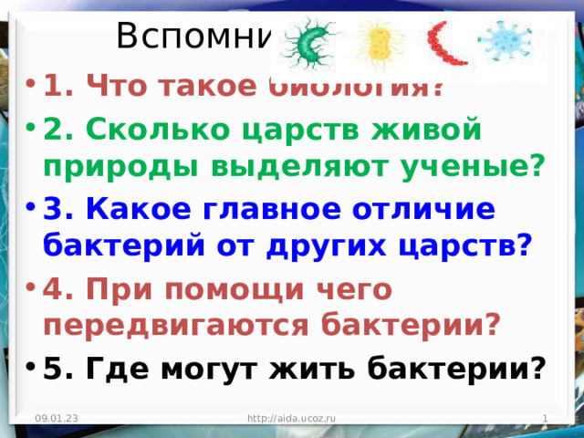 Вспомни 1. Что такое биология? 2. Сколько царств живой природы выделяют ученые? 3. Какое главное отличие бактерий от других царств? 4. При помощи чего передвигаются бактерии? 5. Где могут жить бактерии? 09.01.23 http://aida.ucoz.ru  