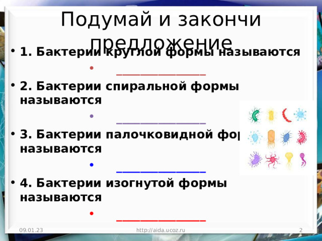 Подумай и закончи предложение 1. Бактерии круглой формы называются _______________ 2. Бактерии спиральной формы называются _______________ 3. Бактерии палочковидной формы называются _______________ 4. Бактерии изогнутой формы называются _______________ 09.01.23 http://aida.ucoz.ru  