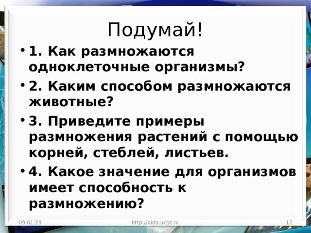 Подумай! 1. Как размножаются одноклеточные организмы? 2. Каким способом размножаются животные? 3. Приведите примеры размножения растений с помощью корней, стеблей, листьев. 4. Какое значение для организмов имеет способность к размножению? 09.01.23 http://aida.ucoz.ru  