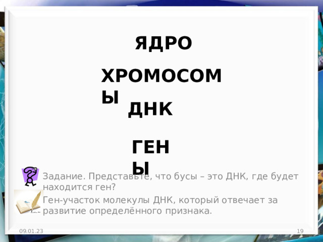 ЯДРО ХРОМОСОМЫ ДНК ГЕНЫ Задание. Представьте, что бусы – это ДНК, где будет находится ген? Ген-участок молекулы ДНК, который отвечает за развитие определённого признака. 09.01.23  