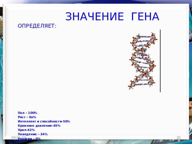  ЗНАЧЕНИЕ ГЕНА  ОПРЕДЕЛЯЕТ: Пол – 100% Рост – 8о% Интеллект и способности-50% Кровяное давление-45% Храп-42% Поведение – 34% Религии – 0% 09.01.23  