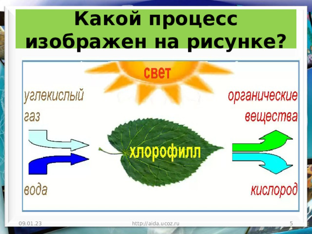 Какой процесс изображен на рисунке? 09.01.23 http://aida.ucoz.ru  