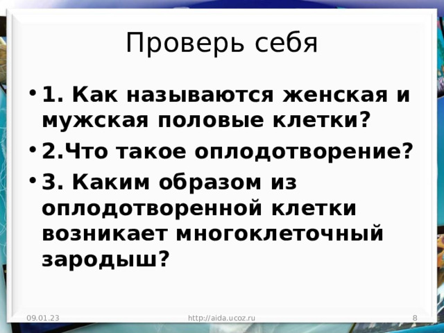 Проверь себя 1. Как называются женская и мужская половые клетки? 2.Что такое оплодотворение? 3. Каким образом из оплодотворенной клетки возникает многоклеточный зародыш? 09.01.23 http://aida.ucoz.ru  