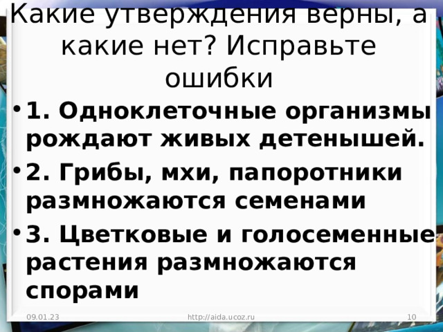 Какие утверждения верны, а какие нет? Исправьте ошибки 1. Одноклеточные организмы рождают живых детенышей. 2. Грибы, мхи, папоротники размножаются семенами 3. Цветковые и голосеменные растения размножаются спорами 09.01.23 http://aida.ucoz.ru  