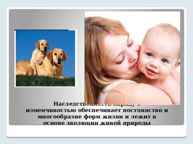 Наследственность наряду с изменчивостью обеспечивает постоянство и многообразие форм жизни и лежит в основе эволюции живой природы 
