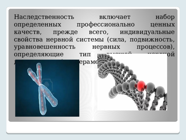 Наследственность включает набор определенных профессионально ценных качеств, прежде всего, индивидуальные свойства нервной системы (сила, подвижность, уравновешенность нервных процессов), определяющие тип высшей нервной деятельности (темперамент). 