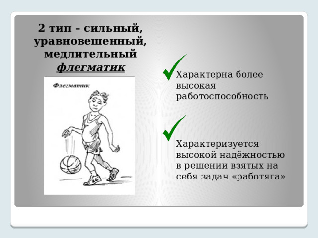 2 тип – сильный, уравновешенный, медлительный флегматик  Характерна более высокая работоспособность Характеризуется высокой надёжностью в решении взятых на себя задач «работяга» 